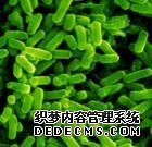 拉肚子怎么治疗最好？包头腹泻医院